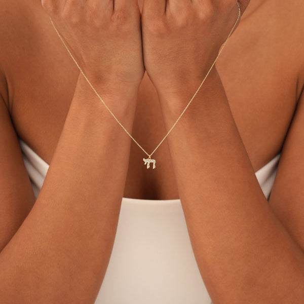 Pave Diamond Chai Necklace, Zavrielle