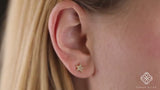 petite star earrings